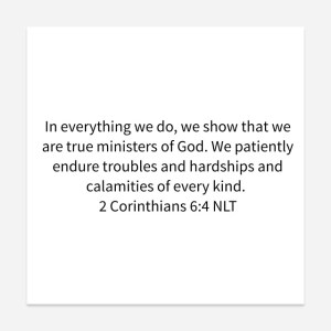 1467464341698_17415534-1467367562590_640x640